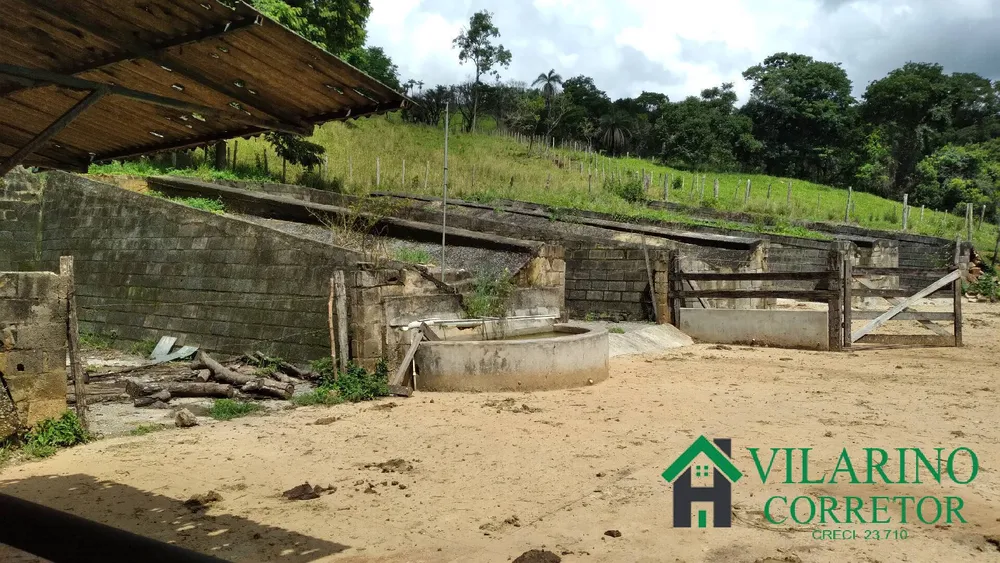 Fazenda, 16 hectares - Foto 4