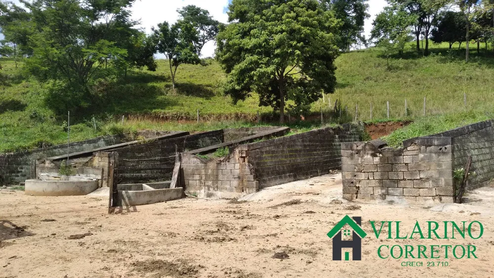 Fazenda, 16 hectares - Foto 3