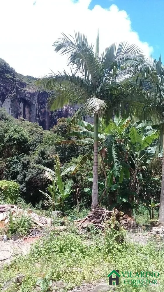 Sítio, 3 quartos, 15 hectares - Foto 7