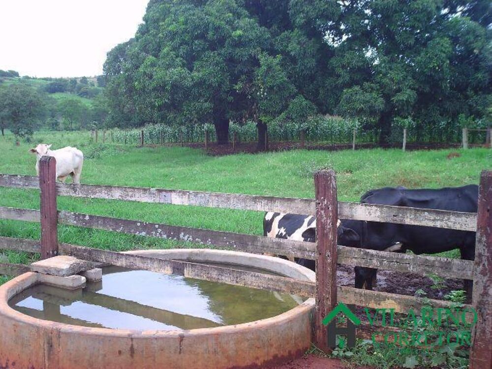 Fazenda, 24 hectares - Foto 1