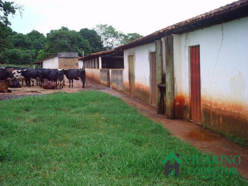 Fazenda, 24 hectares - Foto 3