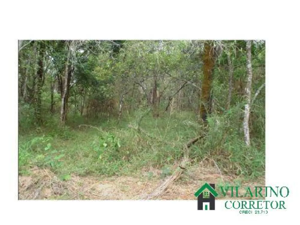 Terreno, 1000 m² - Foto 8