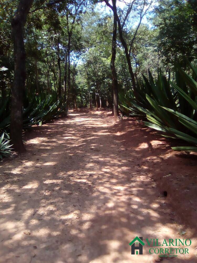 Chácara, 4 quartos, 2 hectares - Foto 1