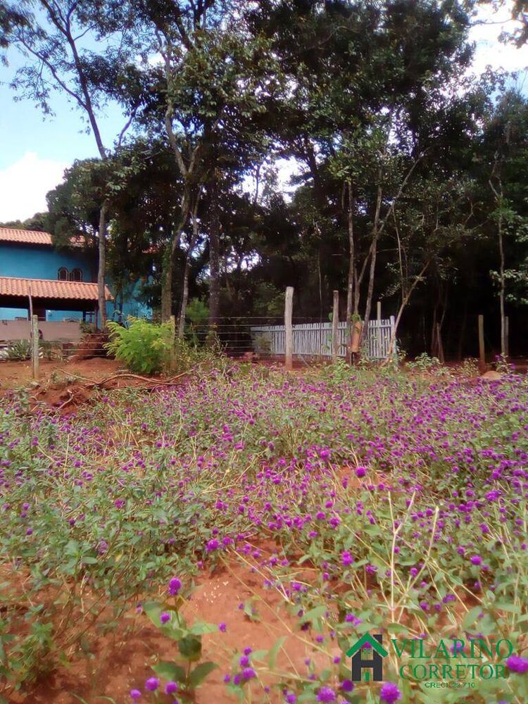 Chácara, 4 quartos, 2 hectares - Foto 5