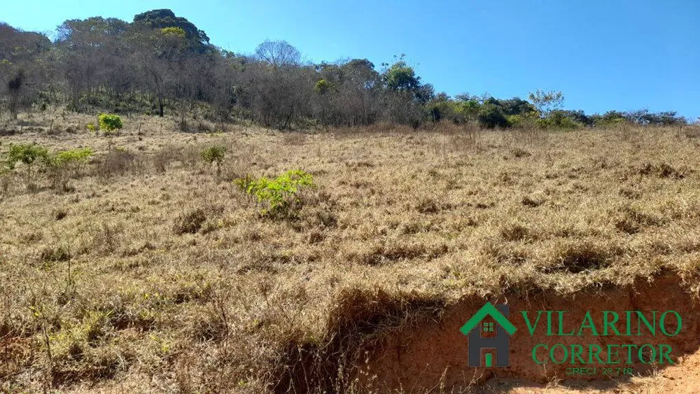 Fazenda, 63 hectares - Foto 1