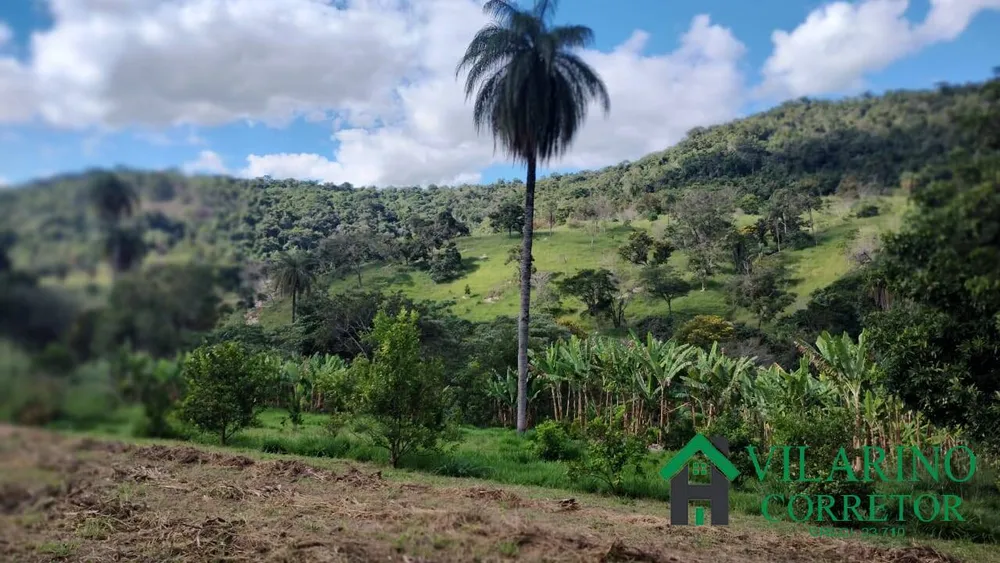 Fazenda, 97 hectares - Foto 1