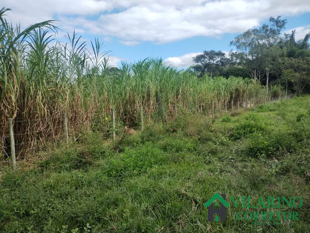 Fazenda, 97 hectares - Foto 4