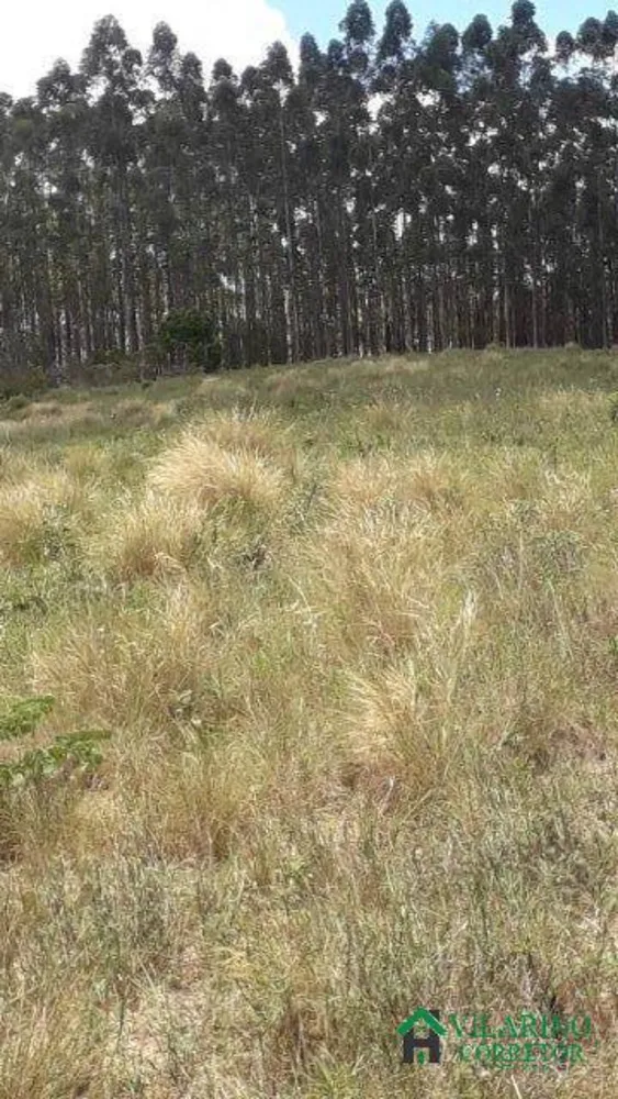 Sítio, 3 quartos, 8 hectares - Foto 4