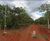 Terreno, 442 m² - Foto 1