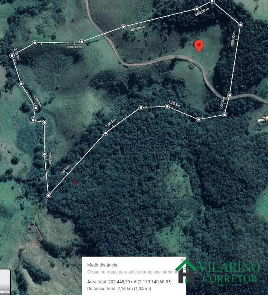 Fazenda, 45 hectares - Foto 4
