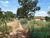 Terreno, 1000 m² - Foto 3