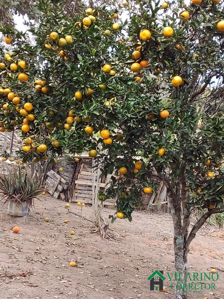 Fazenda à venda com 2 quartos, 190m² - Foto 46