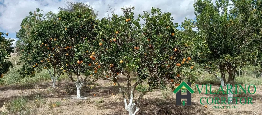 Fazenda à venda com 2 quartos, 190m² - Foto 35