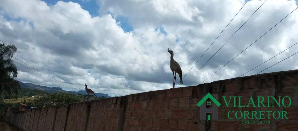 Fazenda à venda com 2 quartos, 190m² - Foto 16