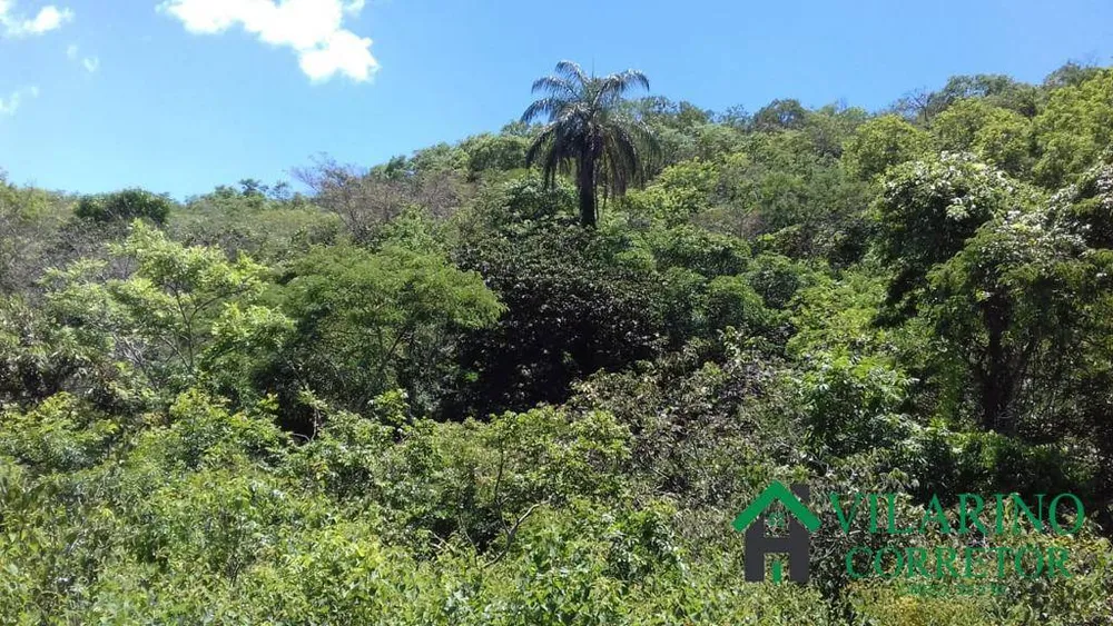 Terreno, 72 hectares - Foto 3