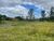 Terreno, 1 hectares - Foto 9