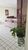 Apartamento, 4 quartos, 366 m² - Foto 6