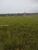 Terreno, 303 m² - Foto 10