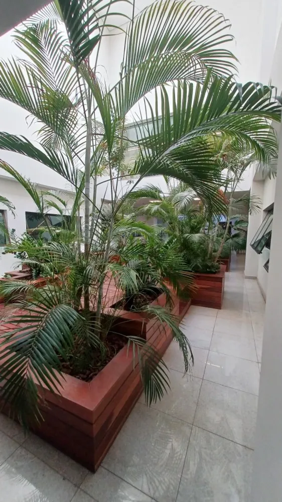 Sala-Conjunto, 40 m² - Foto 11