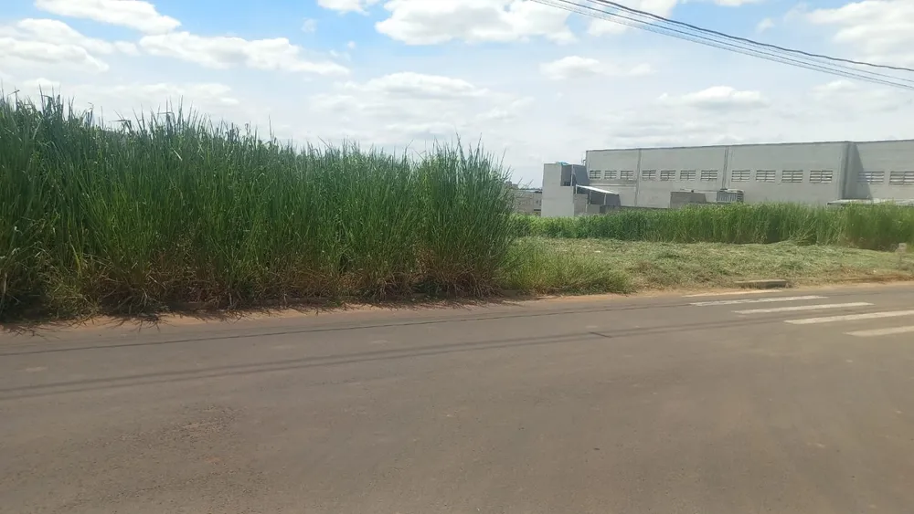 Terreno, 1000 m² - Foto 7