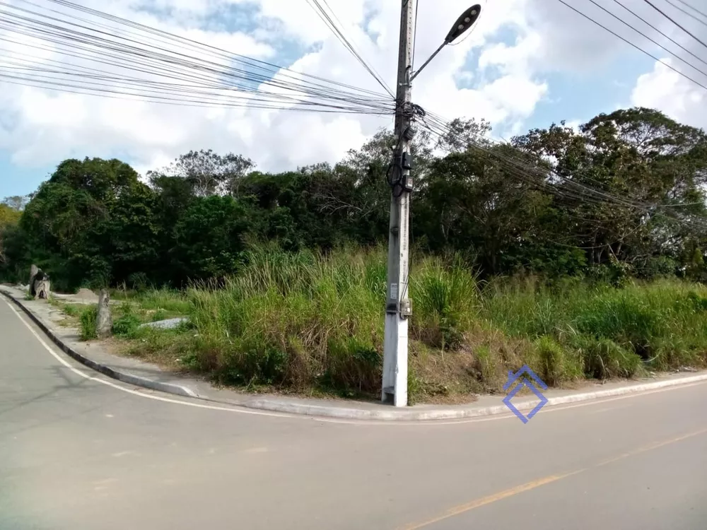 Terreno, 1 hectares - Foto 11