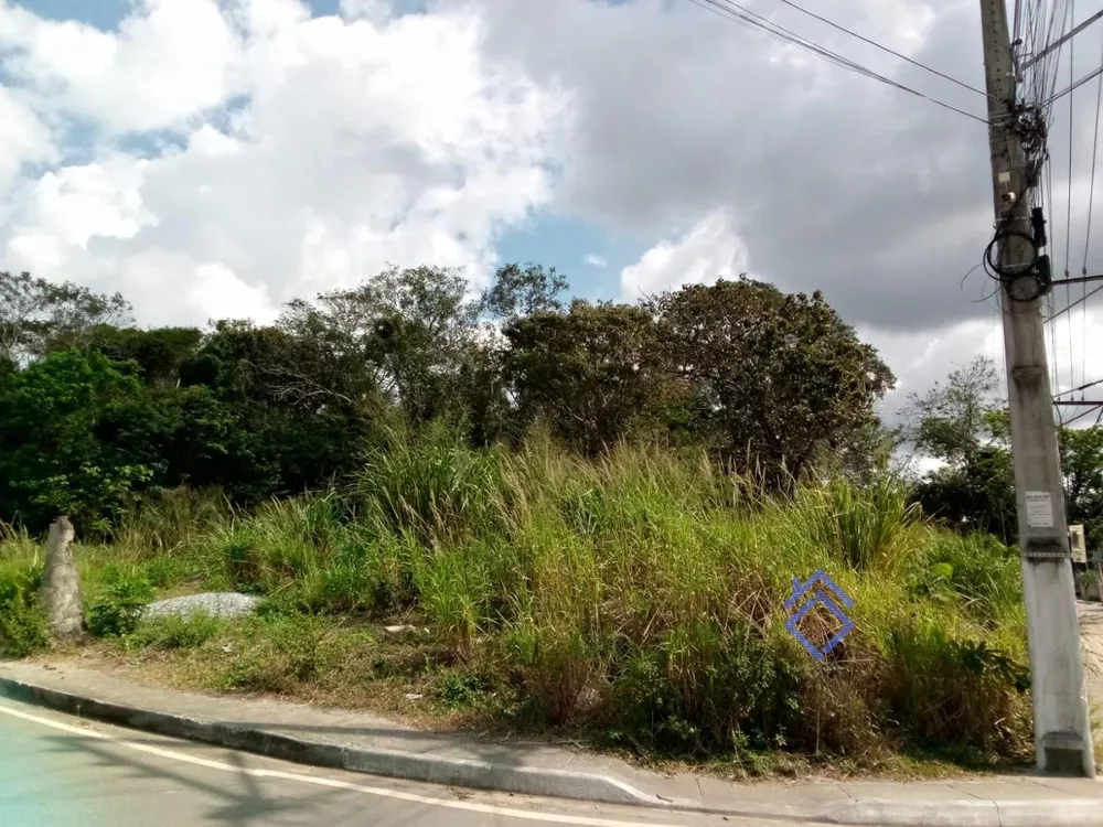 Terreno, 1 hectares - Foto 6