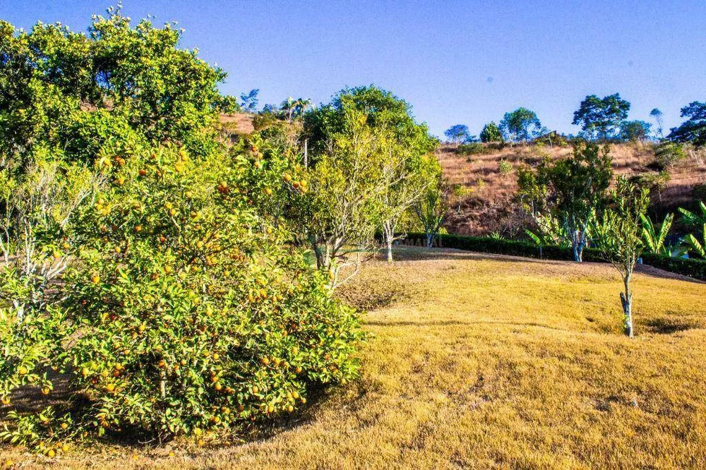 Chácara, 4 quartos, 7250 m² - Foto 37