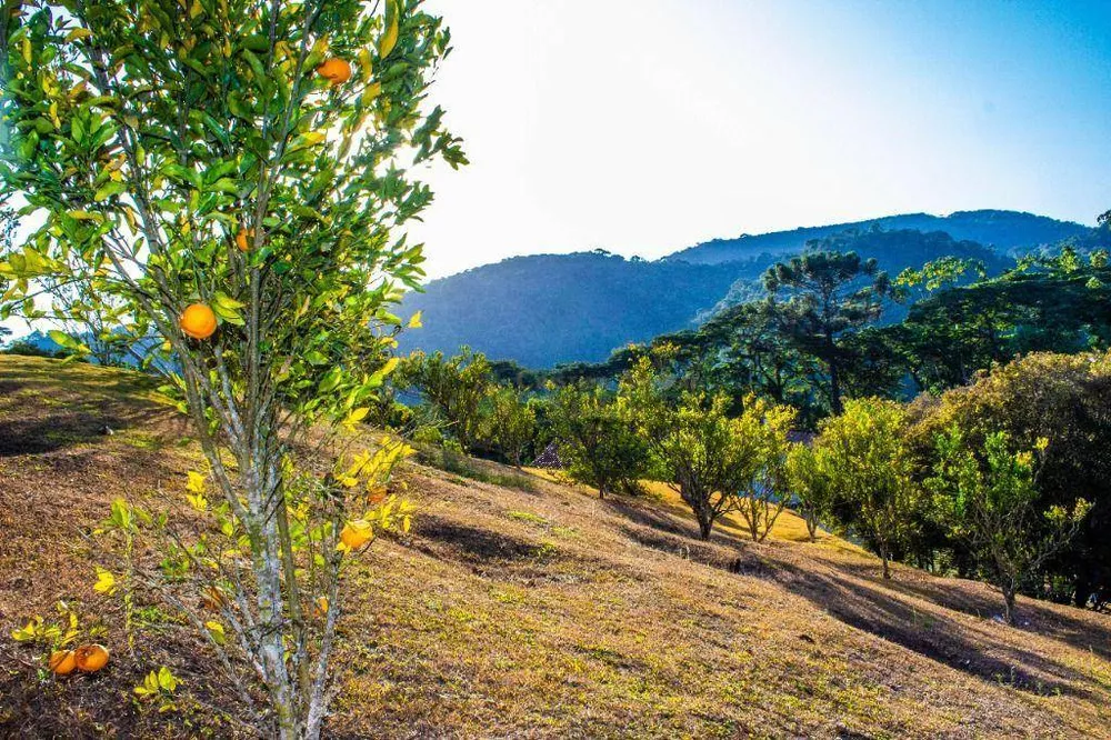 Chácara, 4 quartos, 7250 m² - Foto 36