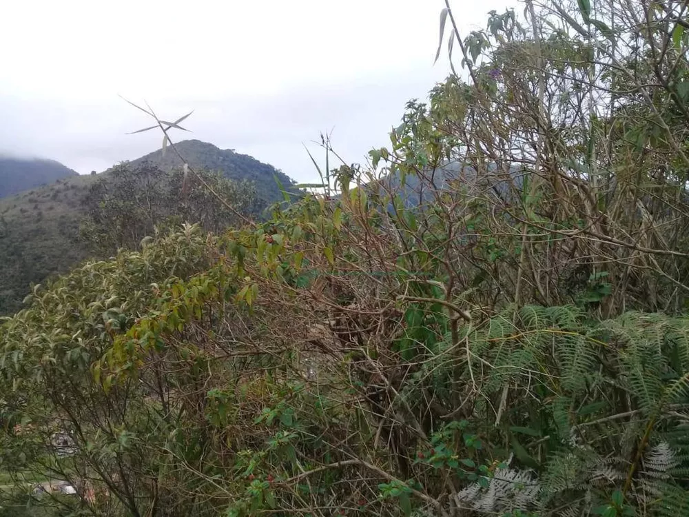 Terreno, 3300 m² - Foto 19