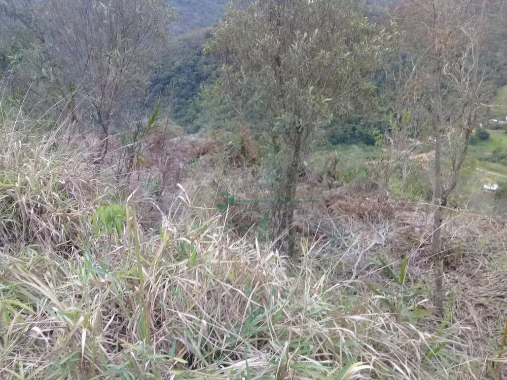 Terreno à venda, 3300M2 - Foto 4