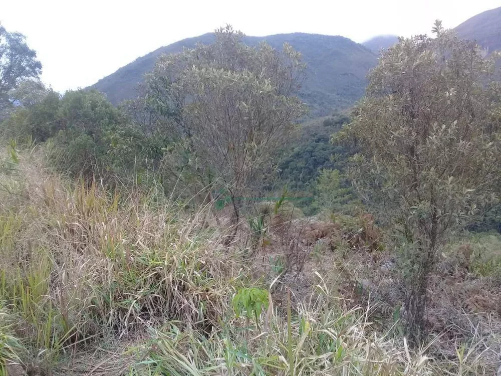 Terreno à venda, 3300M2 - Foto 3