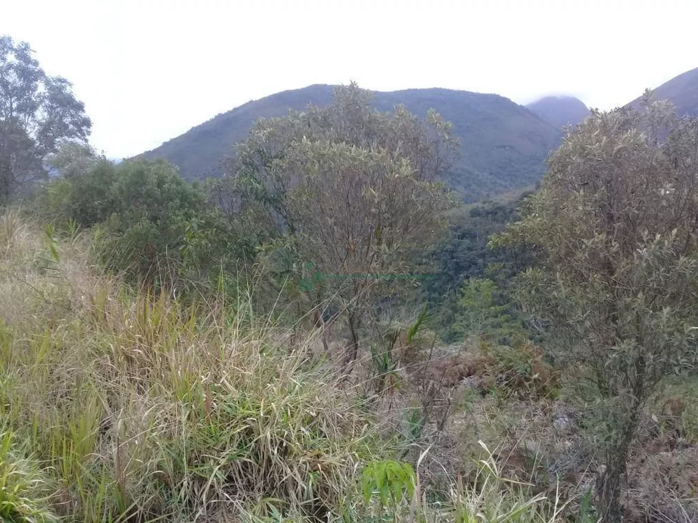 Terreno, 3300 m² - Foto 14