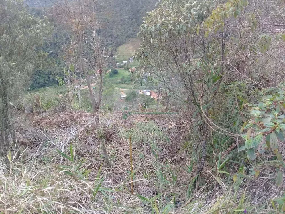 Terreno, 3300 m² - Foto 13