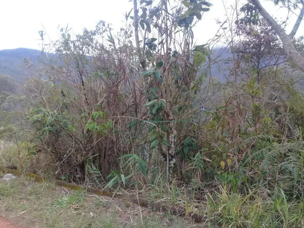 Terreno, 3300 m² - Foto 17