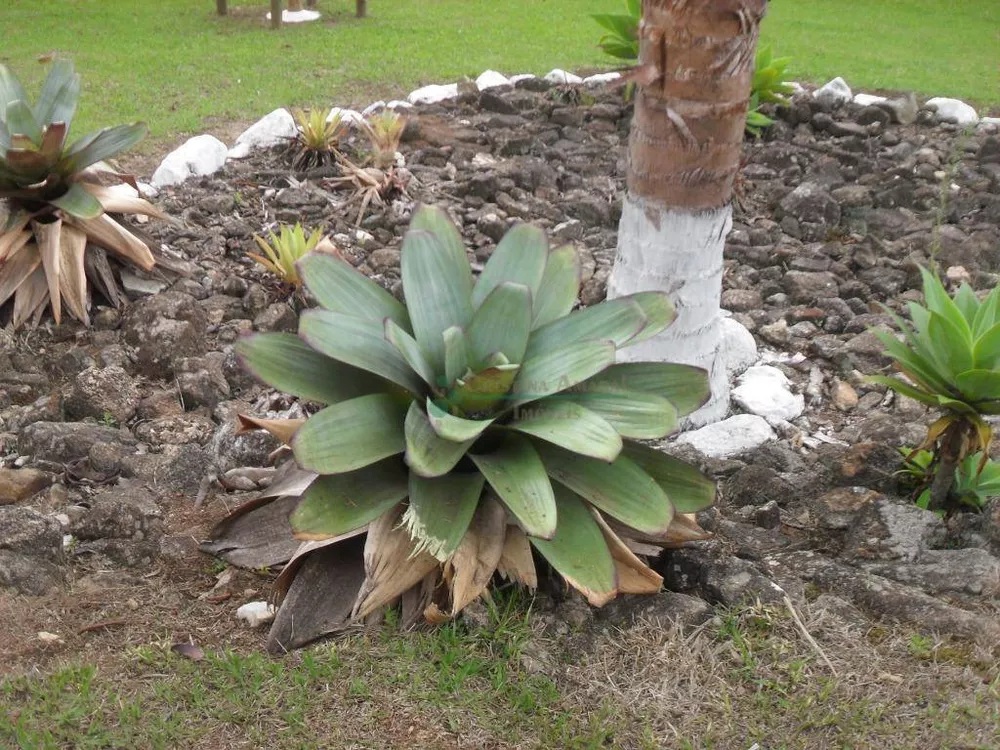 Loteamento e Condomínio, 1024 m² - Foto 54