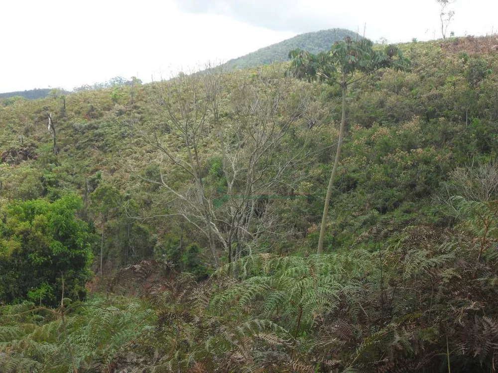 Loteamento e Condomínio, 1024 m² - Foto 9