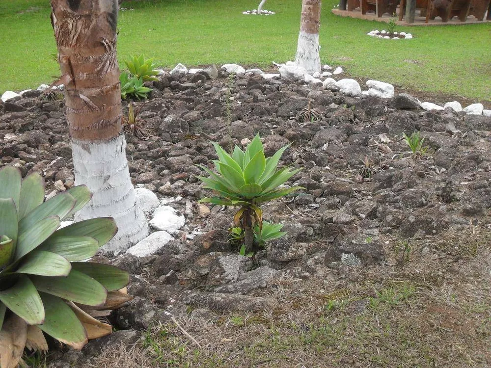 Loteamento e Condomínio, 1024 m² - Foto 56