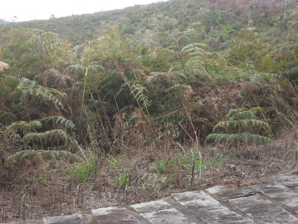 Loteamento e Condomínio, 1024 m² - Foto 24