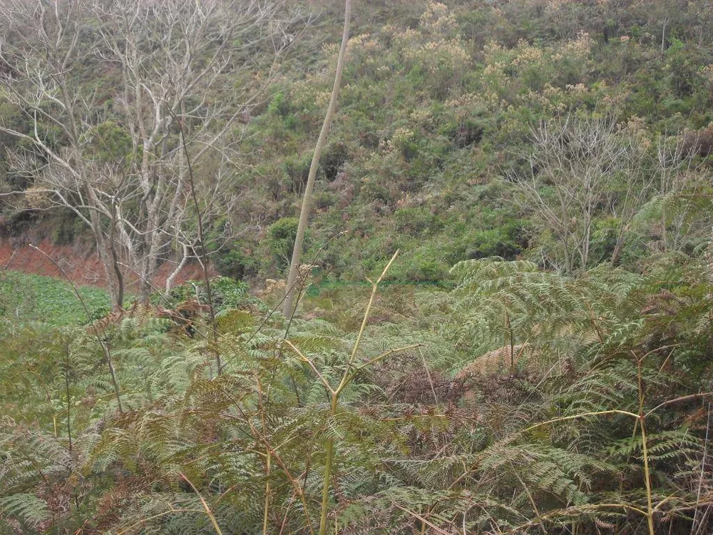 Loteamento e Condomínio, 1024 m² - Foto 17