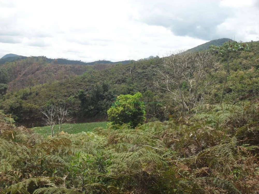 Loteamento e Condomínio, 1024 m² - Foto 2