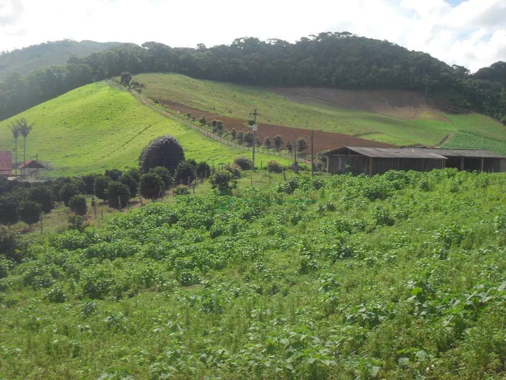 Fazenda, 94 hectares - Foto 21