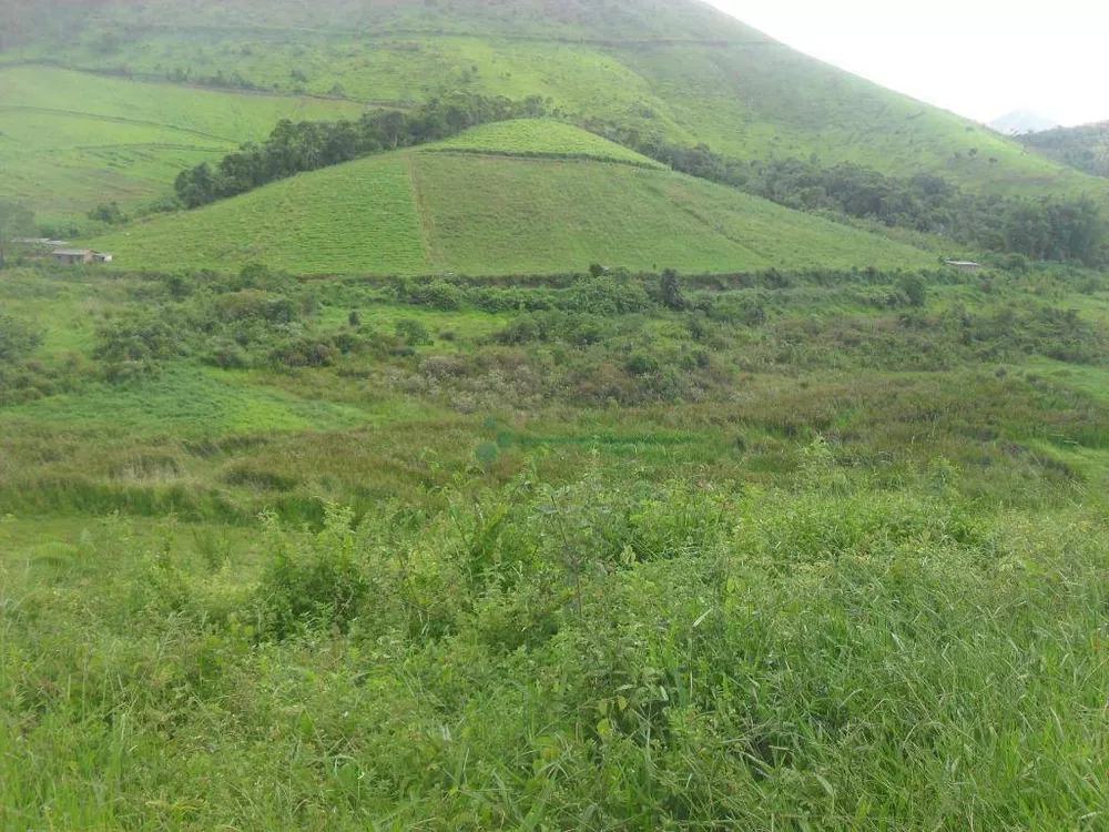 Fazenda, 94 hectares - Foto 28