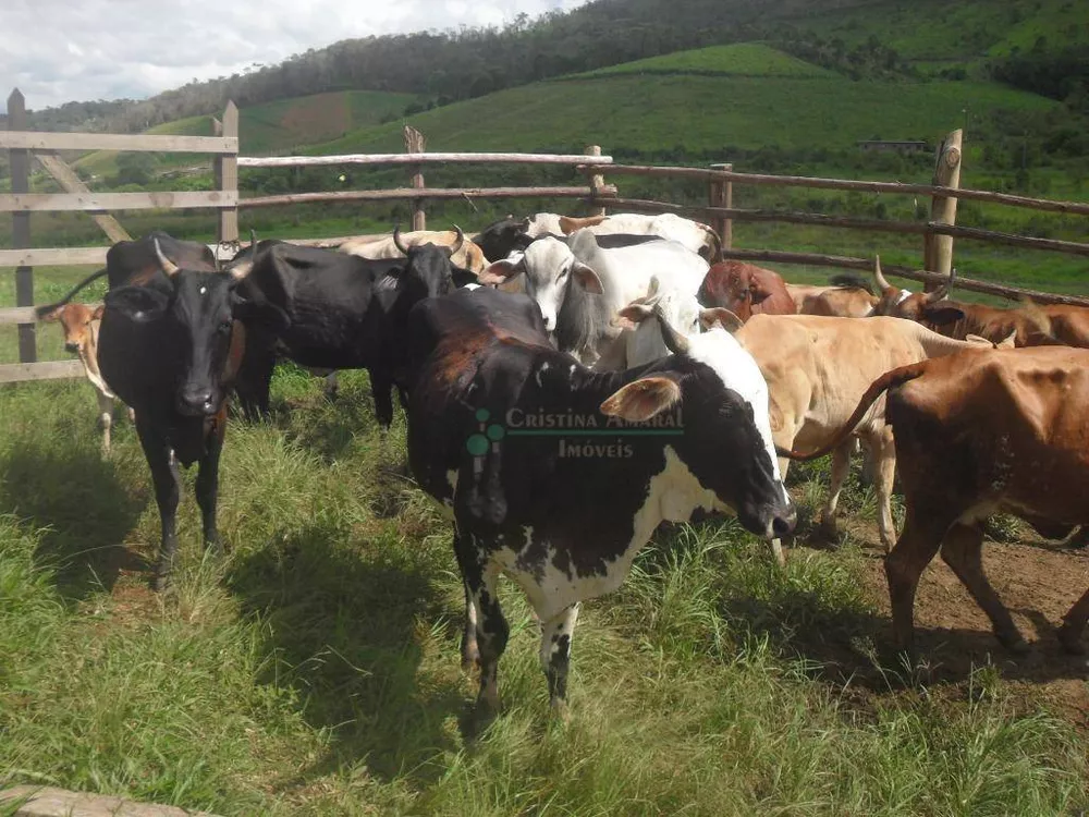 Fazenda, 94 hectares - Foto 3