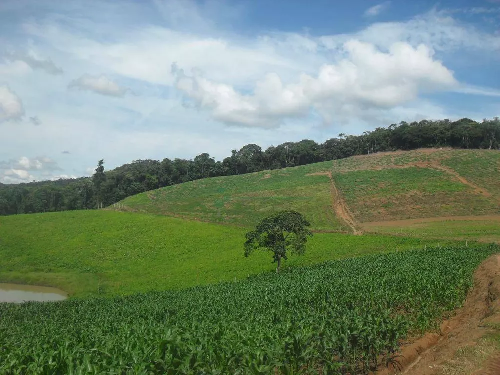 Fazenda, 94 hectares - Foto 14