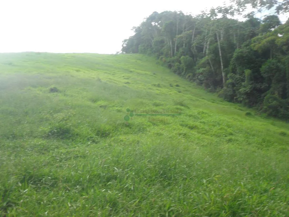 Fazenda, 94 hectares - Foto 27