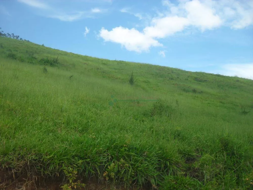 Fazenda, 94 hectares - Foto 22