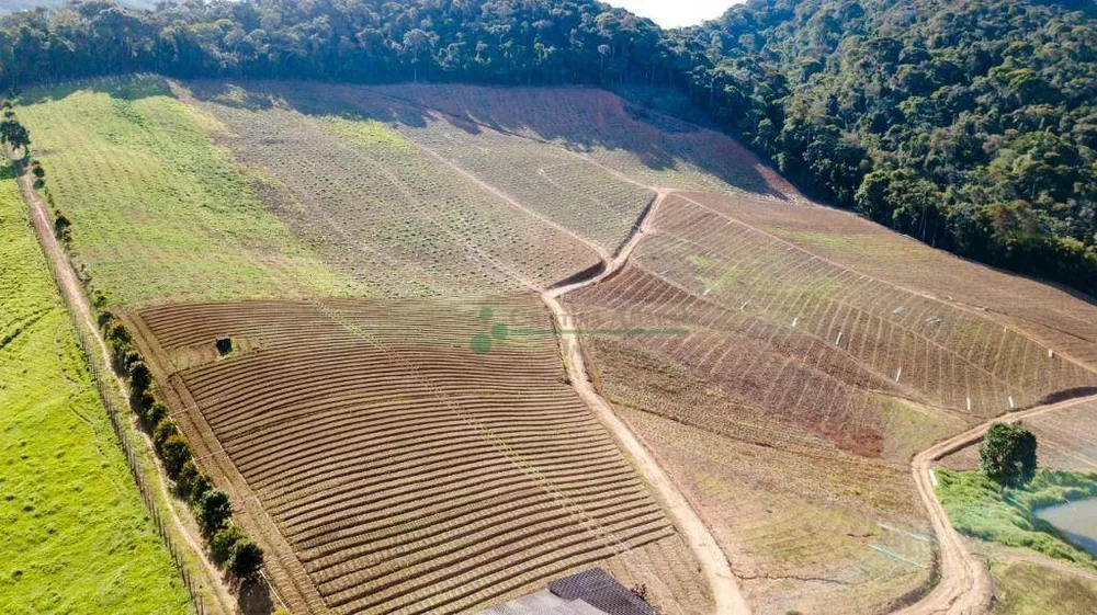 Fazenda, 94 hectares - Foto 46
