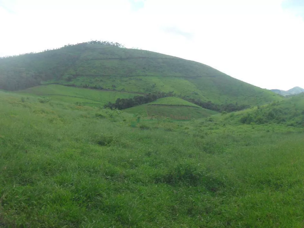 Fazenda, 94 hectares - Foto 24