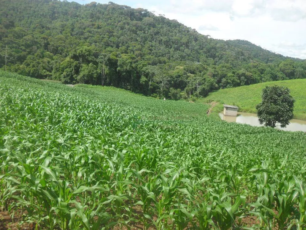 Fazenda, 94 hectares - Foto 13