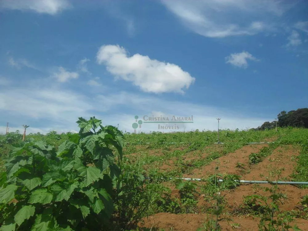 Fazenda, 94 hectares - Foto 29